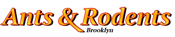 Brooklyn Ant Exterminator & Rodent Control Company Logo